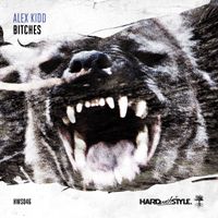 Alex Kidd - Bitches (Original Mix)