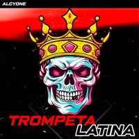 Alcyone - Trompeta Latina