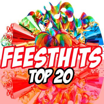 Various Artists - Feesthits Top 20
