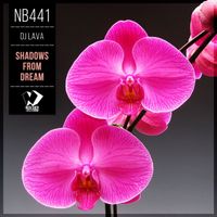 DJ Lava - Shadows from Dream