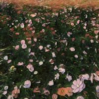 MILLIGRAM - Flowers