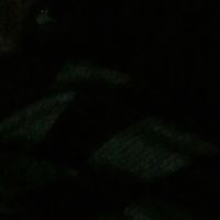 Mant - Maybe Baby I'm In Love :(