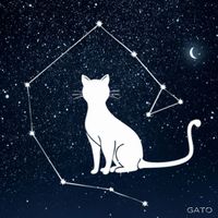 GATO - Cat Constellation