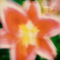 SYEYL - Dawn Chorus
