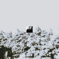 Dasco - oma's garten