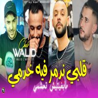 cheb walid - Galbi Nadmar Fih Khodmi Ma Bghitich Tahachmi