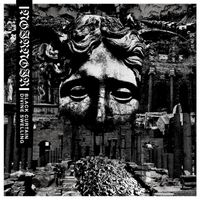 Noir Noir - Black Curtain / Divine Swelling
