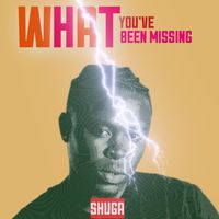 Shuga - What You've been Missing