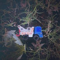 Charlie Ryan - Beyond the Trouble