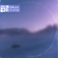 Enluv - Snowbirds