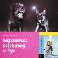 The North American Club - Neighbourhood Dogs Barking at Night