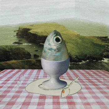 Fisheye - Eggs