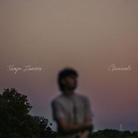 Shaya Zamora - Chemicals