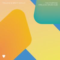 Trilucid & Brett Gould - The Purpose (Extended Drum Dub)