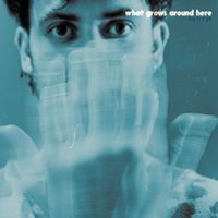 Superego - What Grows Around Here