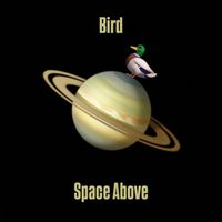 Bird - Space Above