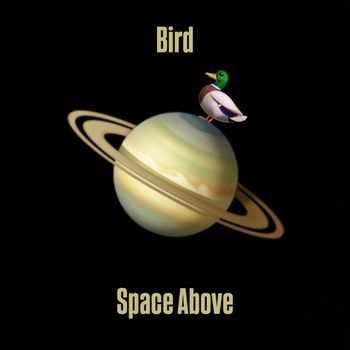 Bird - Space Above