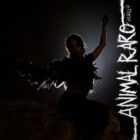 MAREF - Animal Raro