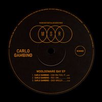 Carlo Gambino - Woolooware Bay