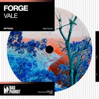 Forge - Vale