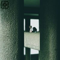 CITYSPROBLEM - Fly Away