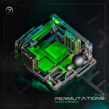 Sensient - Permutations, Vol.11