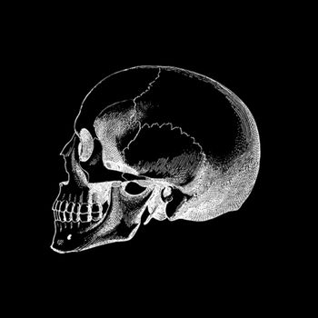 Innuendo - Se perdió