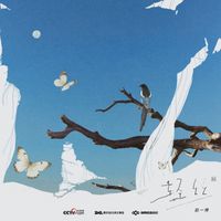 赵一博 - 轻丝