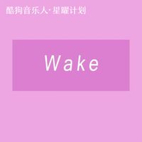 OAO - Wake