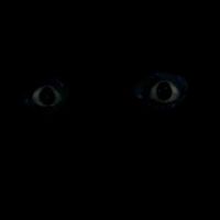 null - itsbeenawhilesinceivelostmymindbutilltryagain