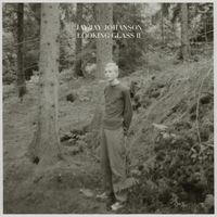Jay-Jay Johanson - Looking Glass, Vol. 2 (Bury the Hatchet Bonus Album)