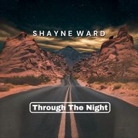 Shayne Ward - Through The Night