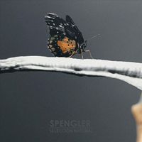 Spengler - Selección Natural