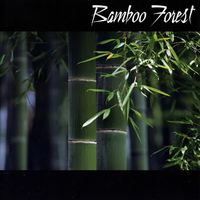 Bamboo Forest - Bamboo Forest
