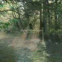 CROIX HEALING - Drift of Forgotten Light