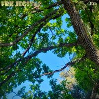 Frk Jegstad - Eik