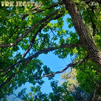 Frk Jegstad - Eik