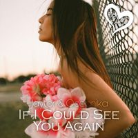 Jaytor, Oceanika - If I Could See You Again