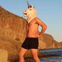 Unicorn On Ketamine - Flamenca