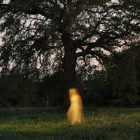 Maju - Still Becoming
