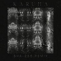 Raudra - Karuna (SHA-256 Remix)