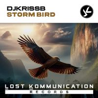 DJKrissB - Storm Bird