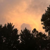 laylow - worth more than gold