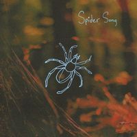 The Barons - Spider Song