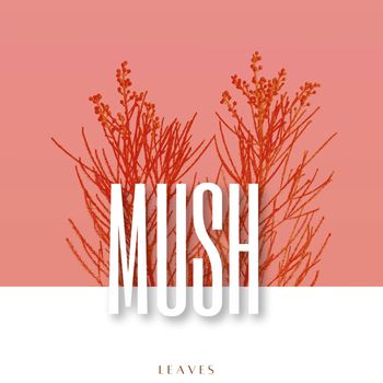 Mush - Leaves