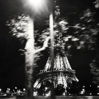 Darwin - décembre