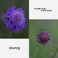 Tobias Köppel - Blumig