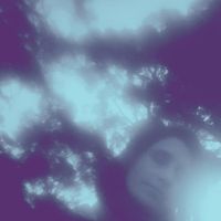 Laurie Levine - Grey