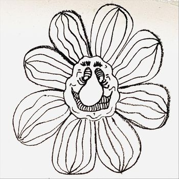 Pedro Silva - Photosynthesis