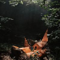 Shana - Riff Machine